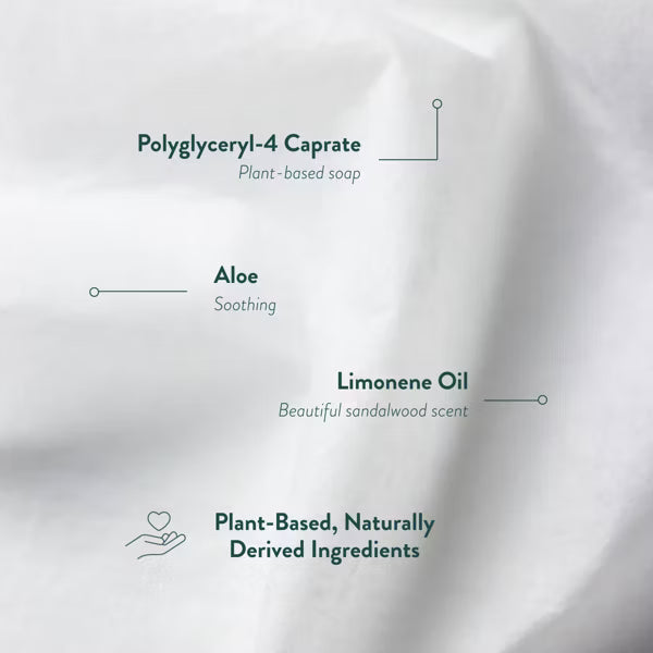 Biom Plant Based Refillable All Purpose Wipes - Santal Escape - 60ct